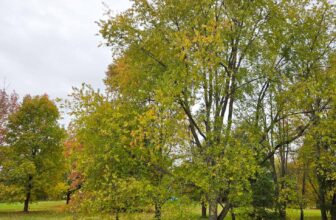 The Little Things Newsletter #493 – Life, laughter, and lots of great food!