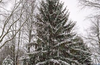 The Little Things Newsletter #500 – Life, laughter, and lots of great food!