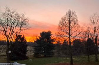 The Little Things Newsletter #501 – Life, laughter, and lots of great food!