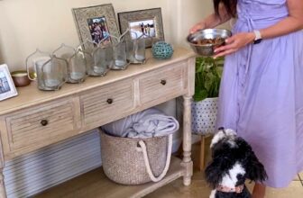 Healthy homemade dog food recipe