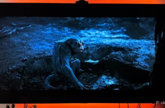 There are two types of LCD TV you don’t know about